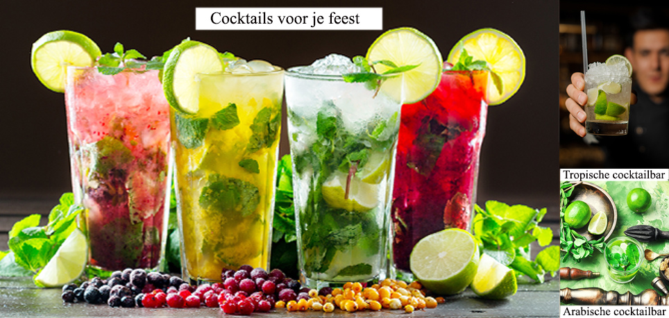 Rauwe groente fruit gekimde zaden catering